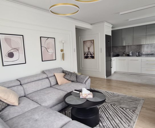 Open plan kitchen - living room with grey sofa and rug - classic - Modern Apartment interior design in Warsaw, Poland